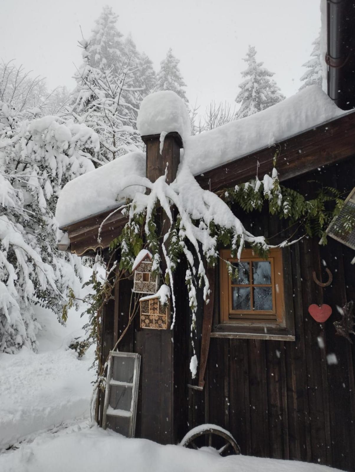Binderhäusl Ferienhaus *